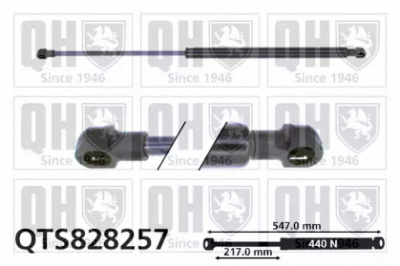 QUINTON HAZELL qts828257 -  Газовая пружина, крышка багажник